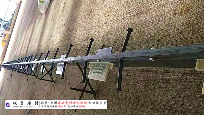 陇南市铠甲缝施工案例