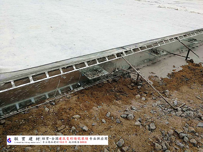 陇南市铠装缝案例